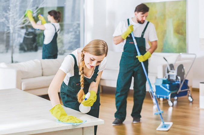 Questions to Ask a Professional Cleaner Before Hiring Them